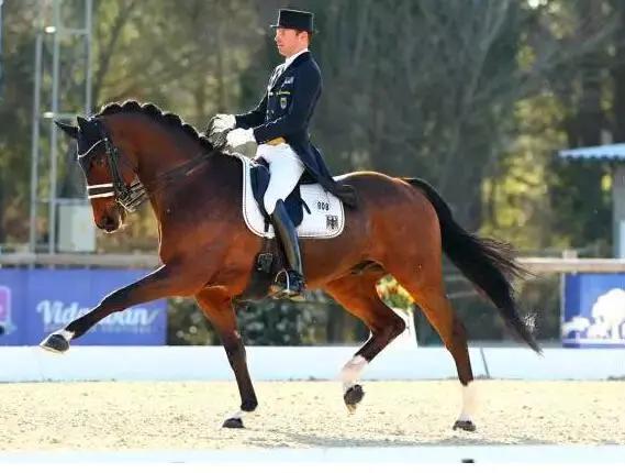 中国最完美运动员,中国最出色运动员