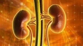 腰痛特效药是真的吗,为什么腰痛以治肾为主