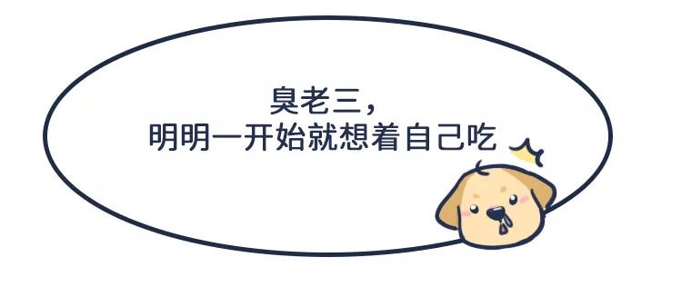 狗吃了柚子会怎样,狗吃柚子吐了