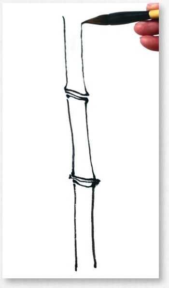 国画基础教程竹子的画法,竹子国画画法教程