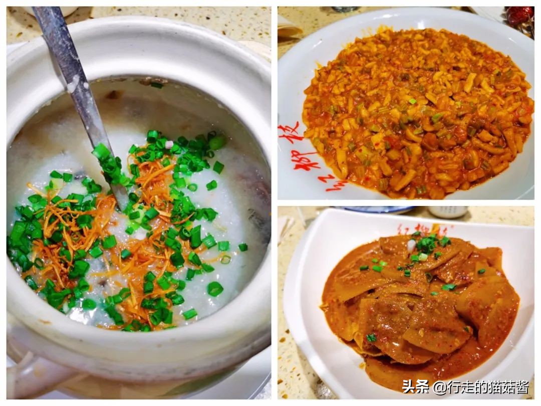 超出预期的大西北第一站，我要吹爆银川！吃玩住行全含