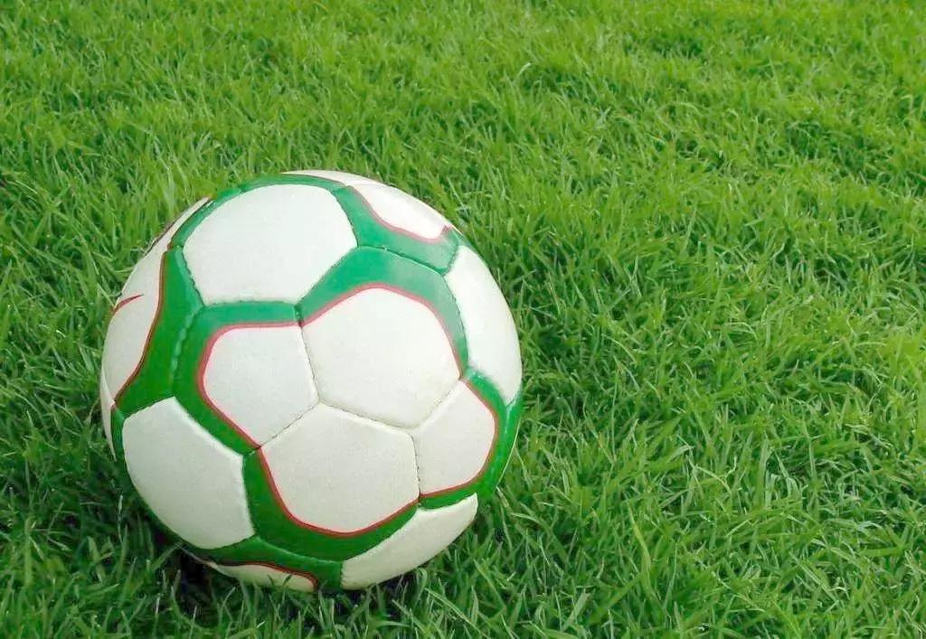 福田花卉世界最新消息,福田花卉世界改造