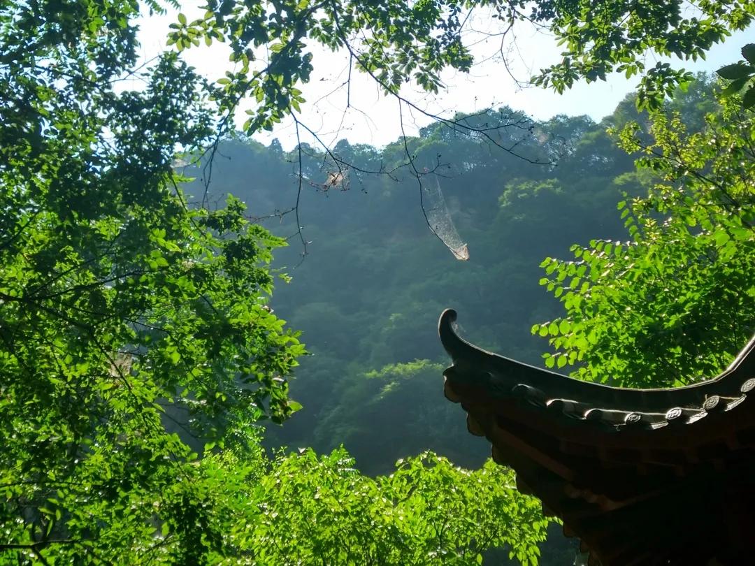 少华山冬天一日游最佳攻略,少华山国庆旅游图片