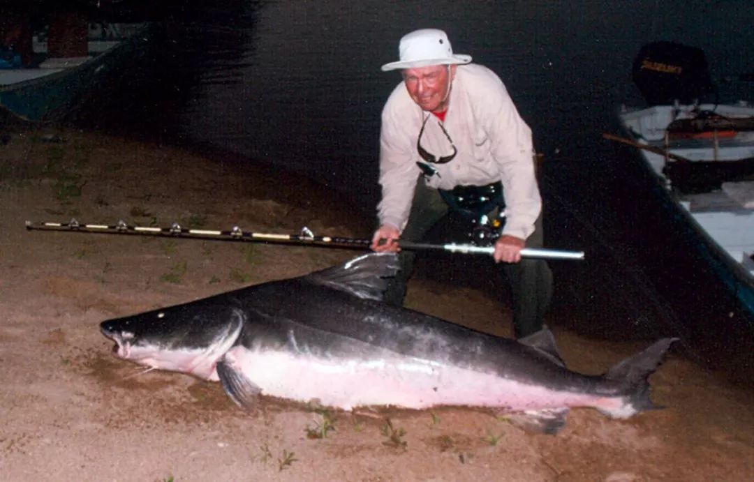 世界十大凶猛淡水鱼类,顶级淡水鱼类