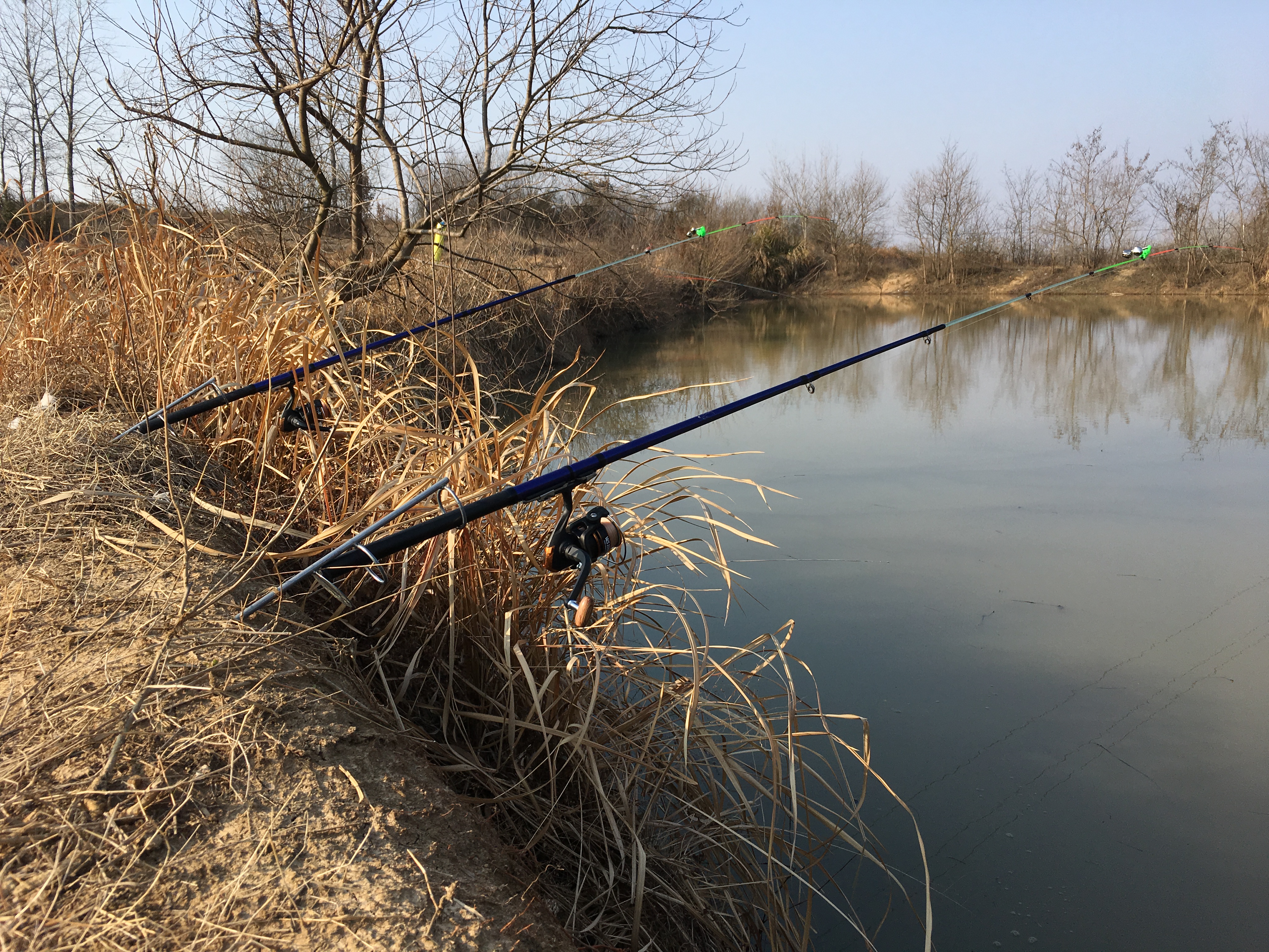 经常钓不到鱼原来是少了这个步骤,冬季晴天10度钓鲤鱼钓深还是钓浅