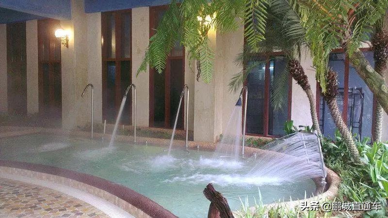 不用去日本就能去的猫岛,不用去日本的海边