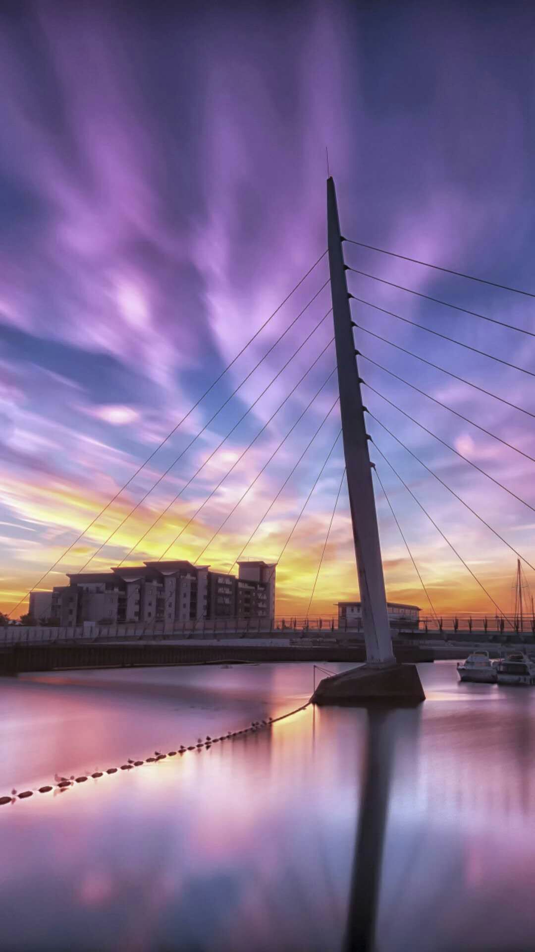 高中语文必修一考点归纳,高一必修一语文必背重点句子