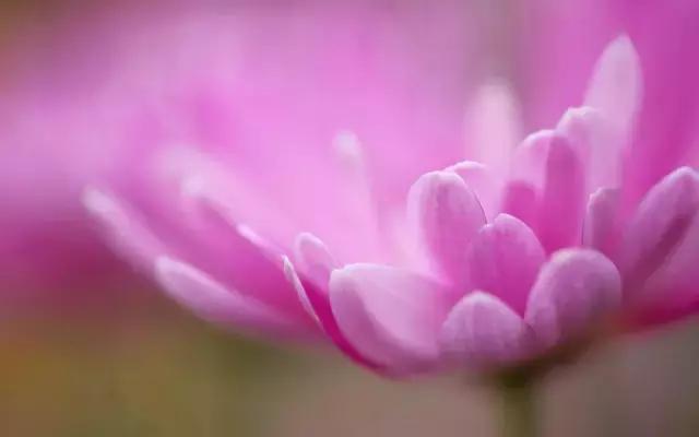 最无助的时候除了坚强别无选择,最无助的时候一切靠自己