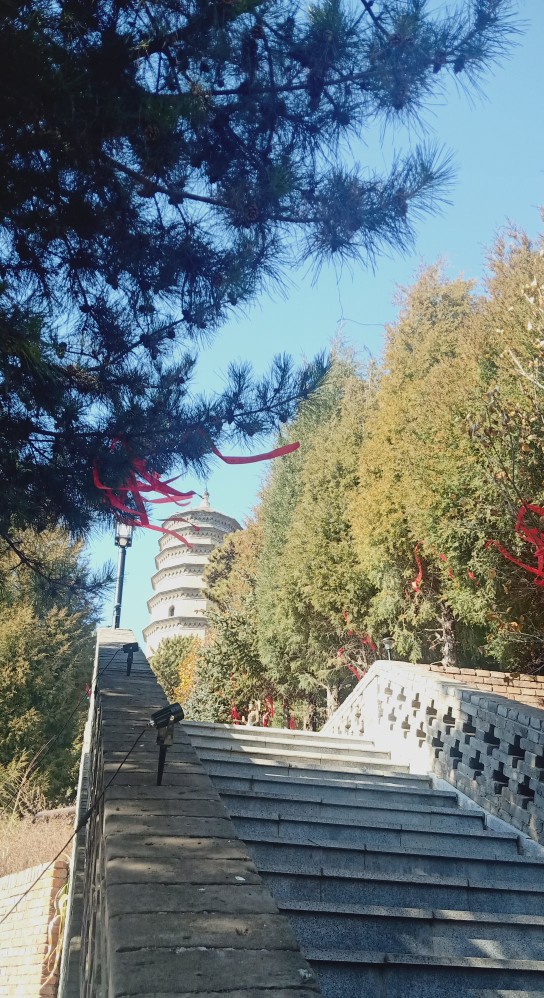 五台县尊胜寺图片,五台县尊胜寺简介