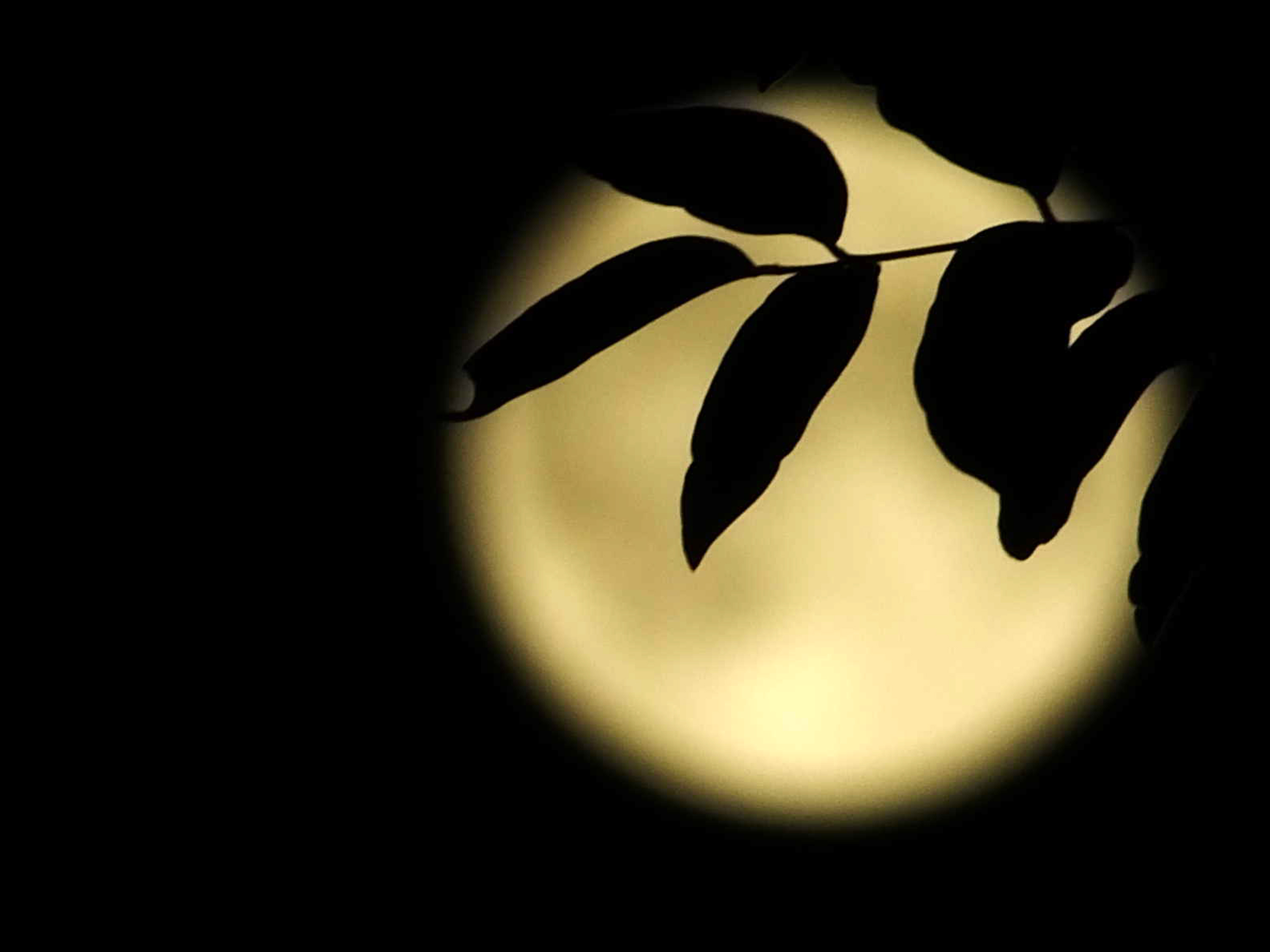 鬼节的来历故事400字,哪个国家的鬼节最可怕