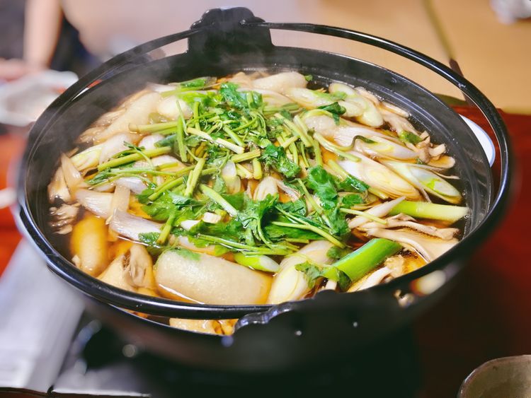 日本自由行奈良,日本秋田大馆旅游