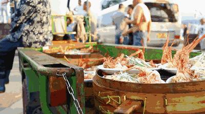 石浦渔港海鲜,石浦渔港码头海鲜