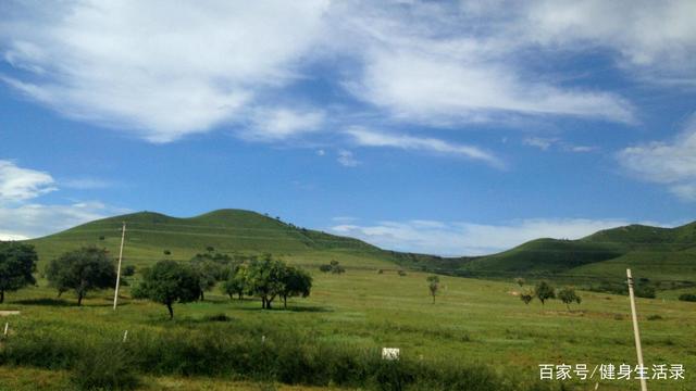 呼伦贝尔能吃的野菜,呼伦贝尔野菜有哪些