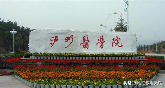 东北医科大学有什么,东北医大和辽宁医科大学哪个好