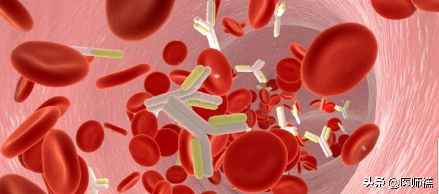 医学免疫知识点大全,医学术语图解指南书