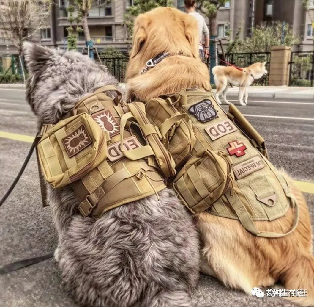 生存战争缺水了怎么办,生存战争遇到岩浆怎么办