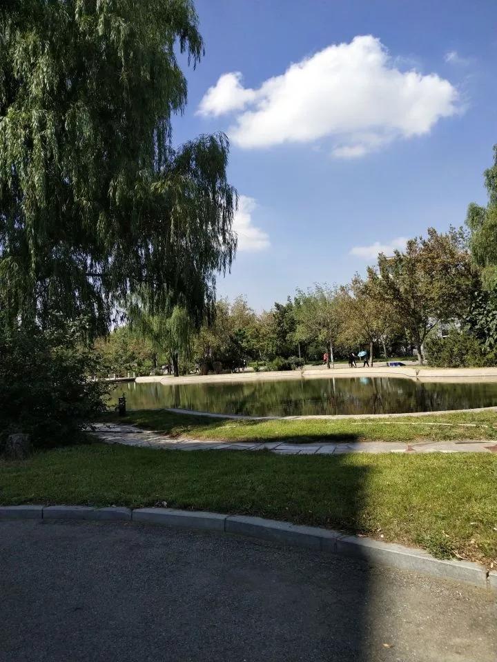 沈阳化工大学辽宁省排名,沈阳化工大学2020招生计划辽宁省