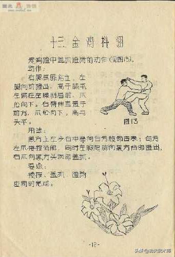 失传已久的古少林迷踪拳秘籍,少林十三抓拳谱
