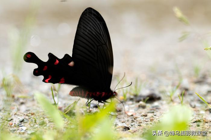 松下全画幅微单s1评测,松下s1全画幅微单拍摄视频