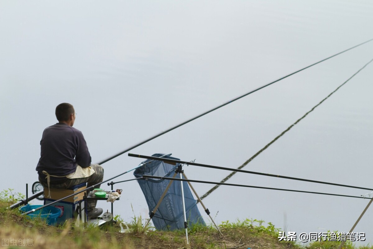 手竿钓乌头鱼的串钩最佳钓法,手竿串钩带漂钓鲫鱼的方法