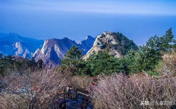 华山景区免费门票预约流程附入口,华山景区门票预约攻略最新