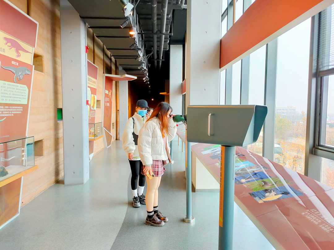 鸟类都会飞往南方过冬吗,鸟类全球迁徙