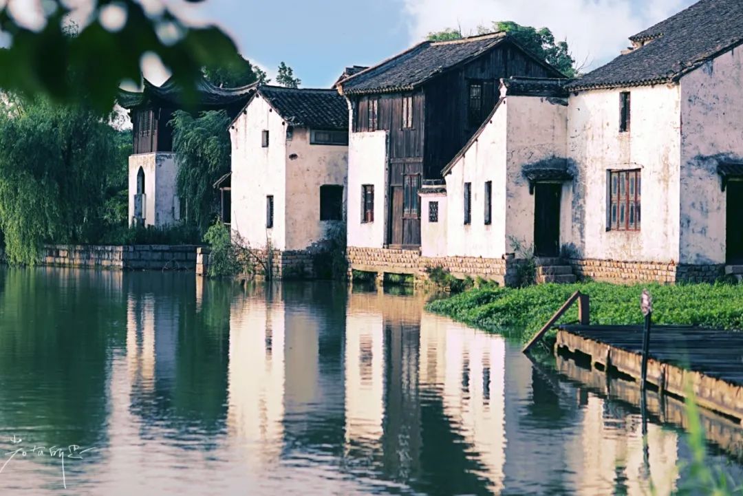 娌欏娴滈鏅尯鑺辨捣,娌欏娴滅殑绱壊鑺辨捣