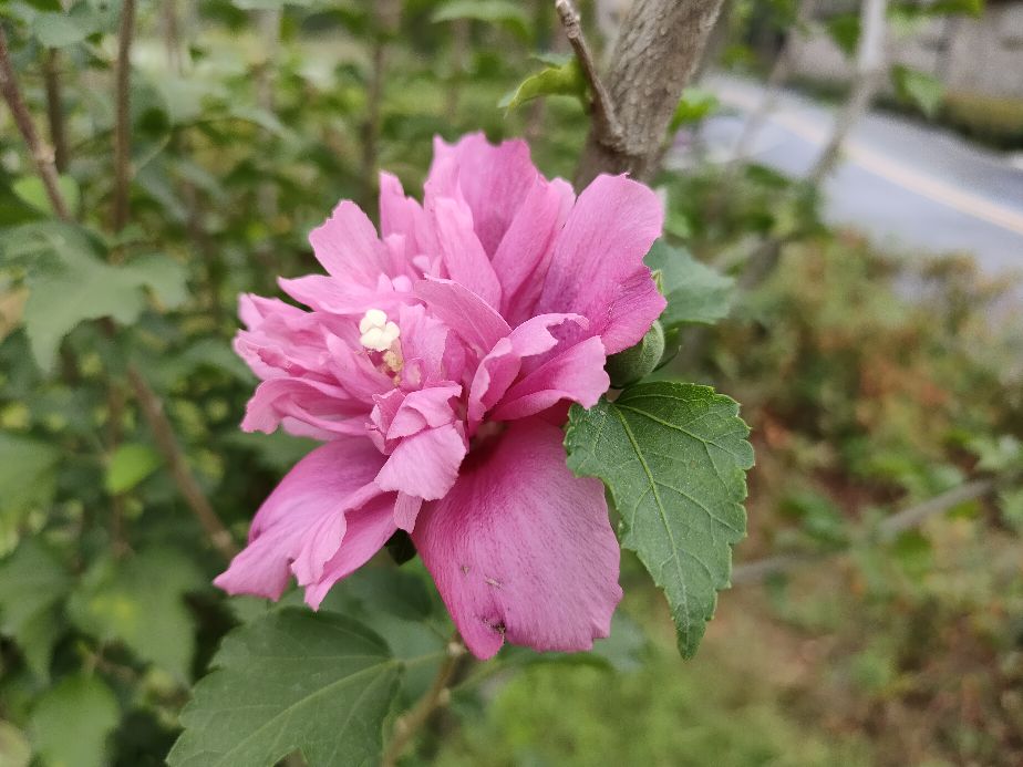 合肥撮街pk贡街,合肥贡街美食一条街