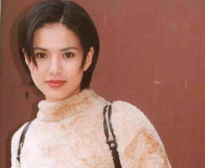 小龙女霸气回应,小龙女深度评价