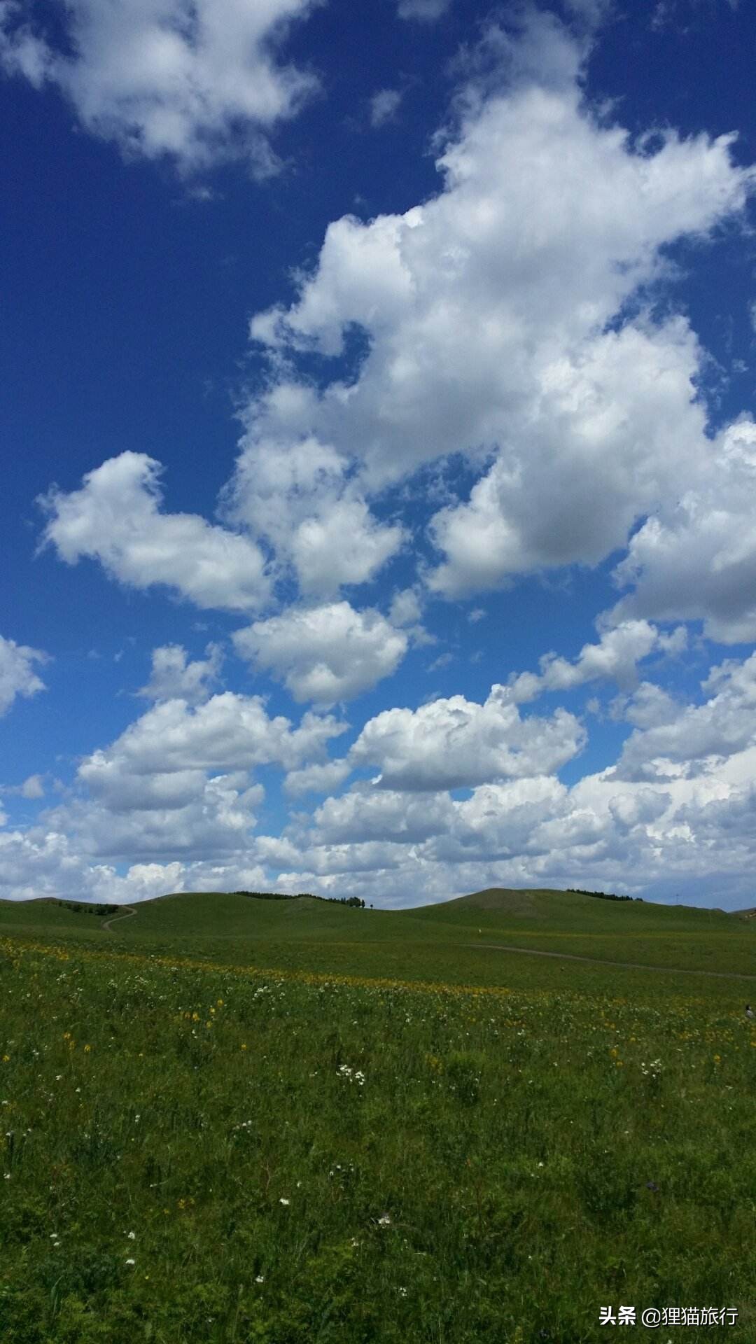 京沈高铁通过沈阳北站吗,京沈高铁能通过丰台站南下吗