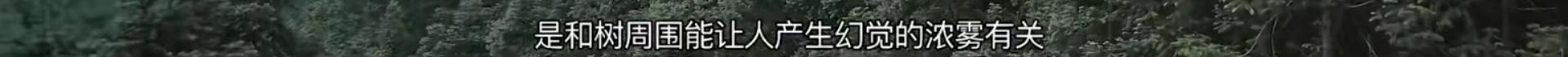 大兴安岭猎人传说在线观看完整版,大兴安岭猎人传说免费播放优酷