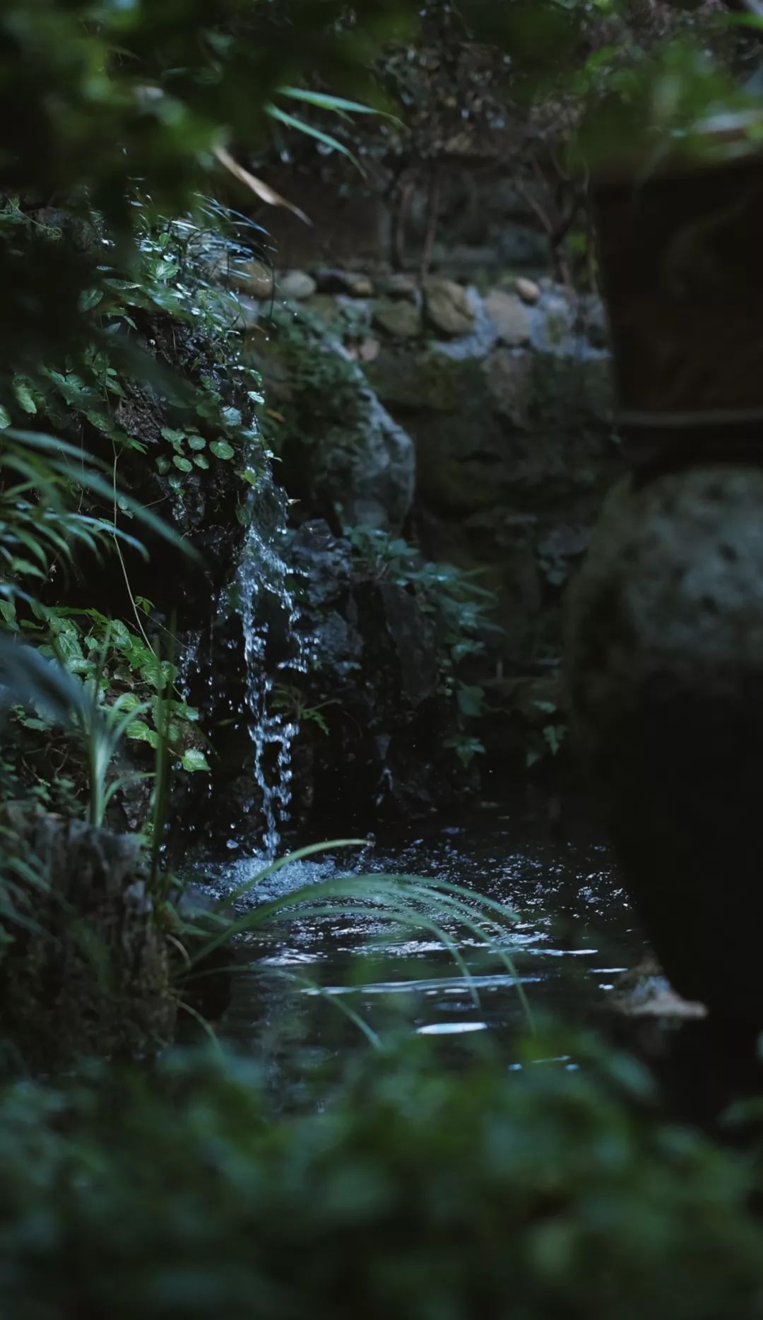 古代文人理想的诗句,古代文人雅士生活四艺