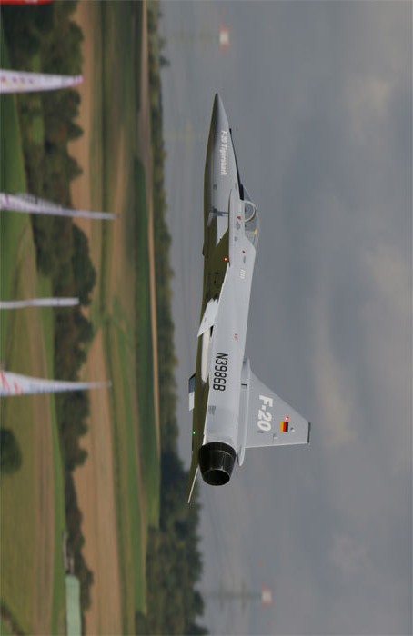 极富悲剧色彩的虎鲸,虎鲨悲剧