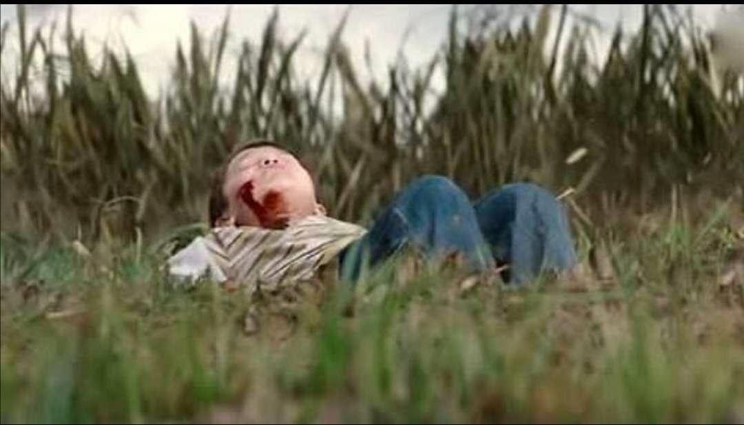 禁忌的孽缘，诠释欲望与痛苦的繁衍