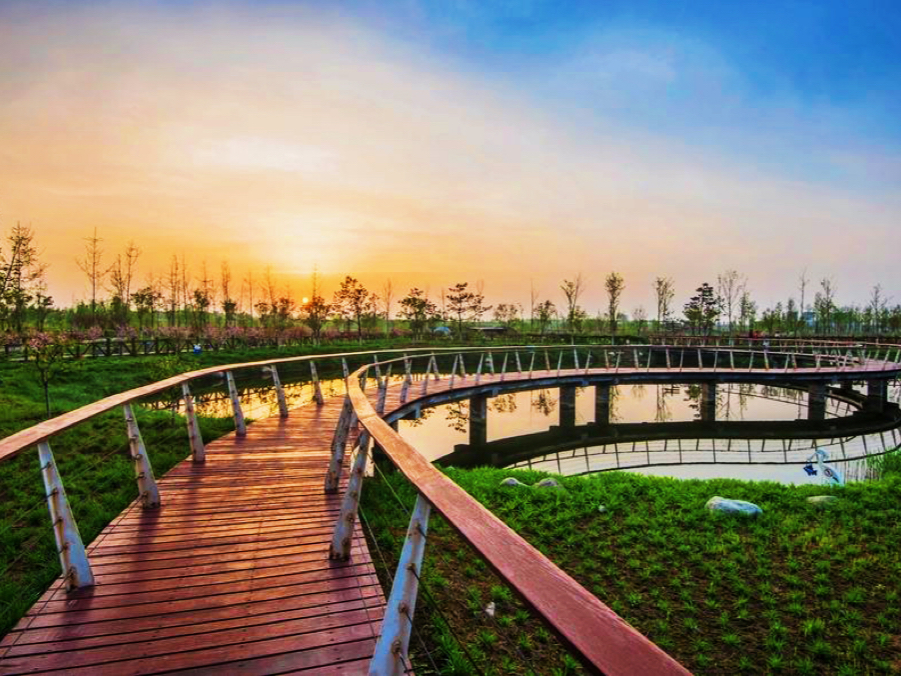 西安最新湿地公园,西安国家湿地公园