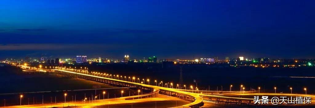 上榜啦！*疆新**鸟市和石市即将被国家命名！未来发展不可估量