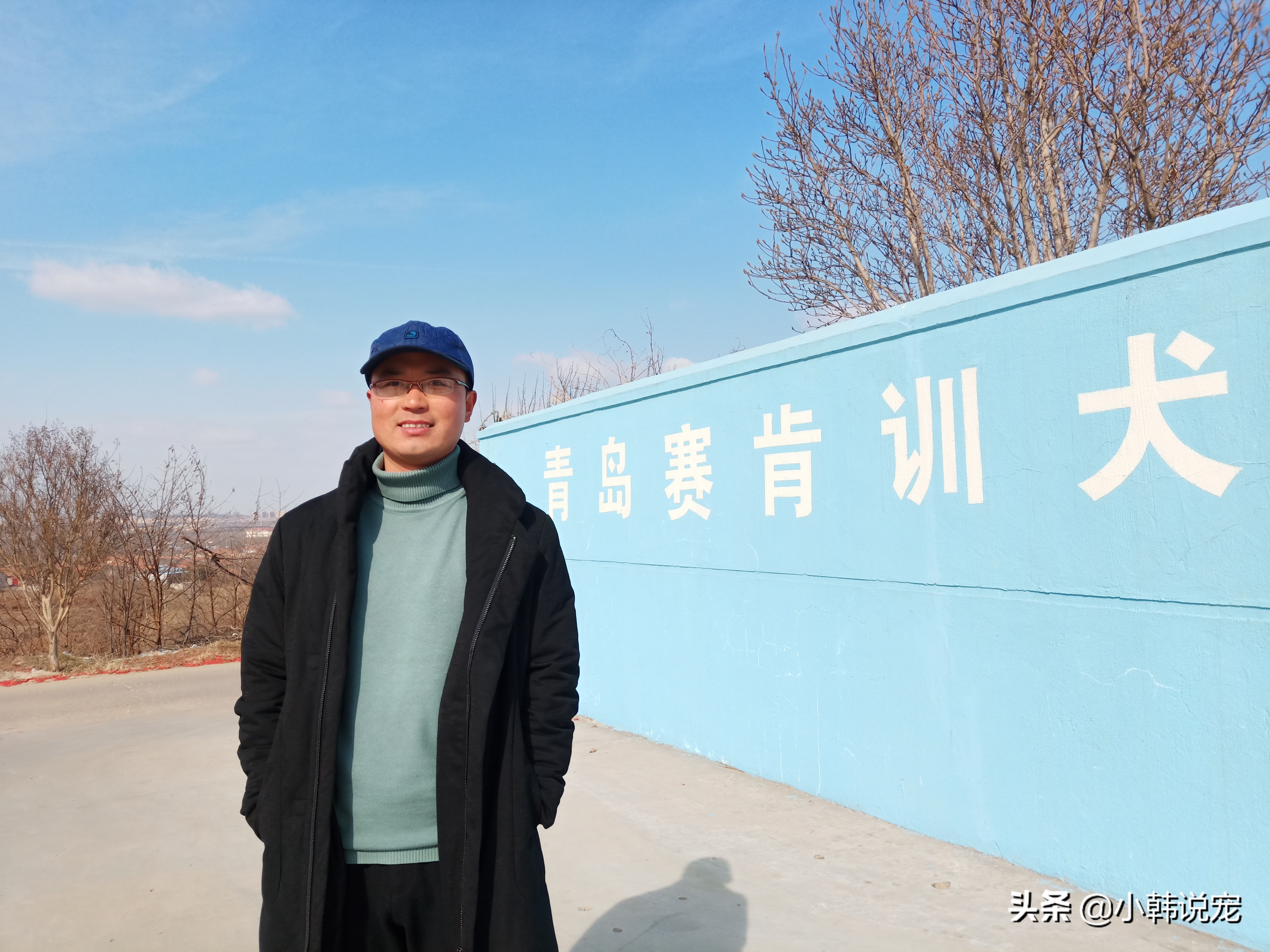 2个月边牧咬人的原因及解决办法,德牧犬咬泰迪狗怎么回事