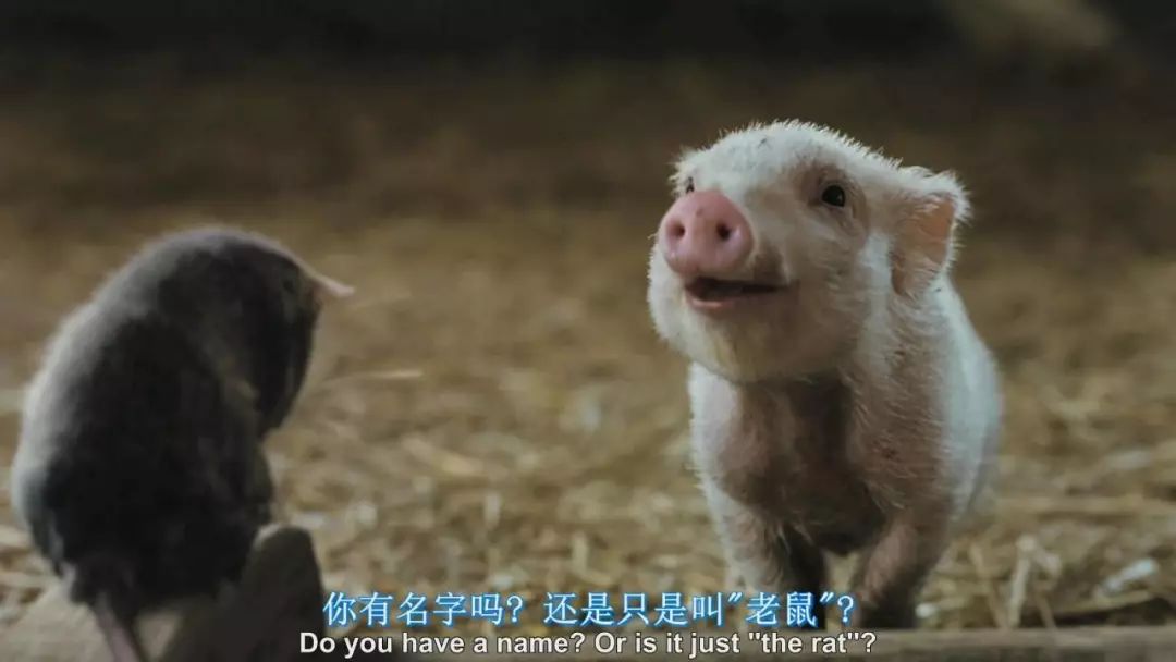 bbc推荐的100本书,bbc评选100年来最优秀儿童绘本