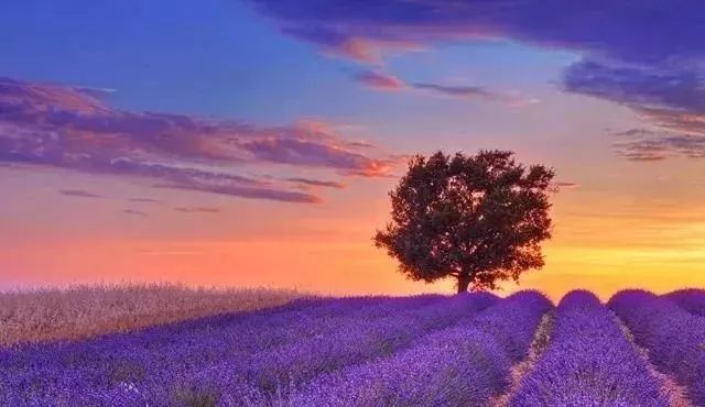 朗诵感恩有你的背景音乐,朗诵感恩有你背景视频