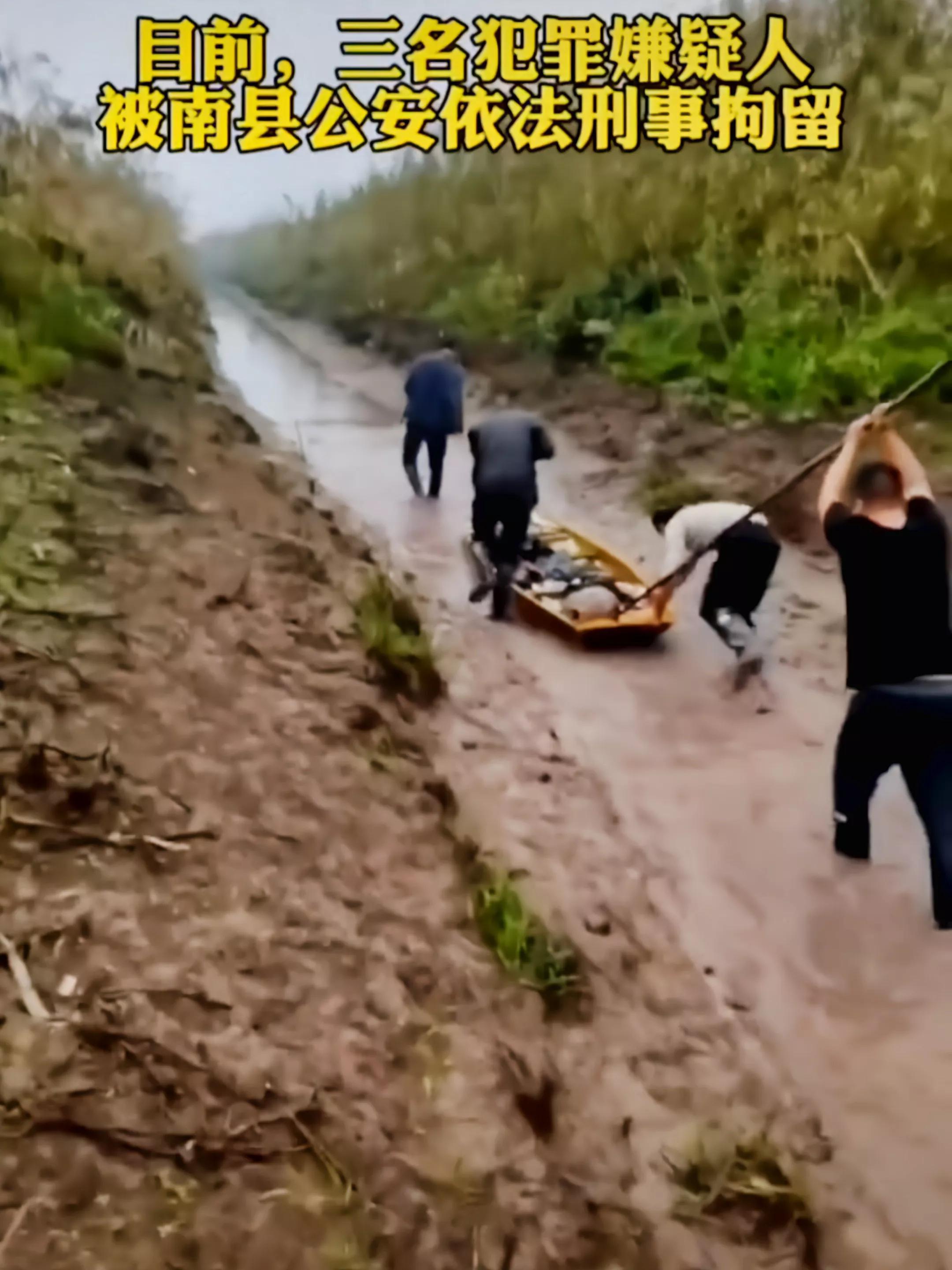 三男子非法电鱼南京,3名男子非法捕鱼600余斤