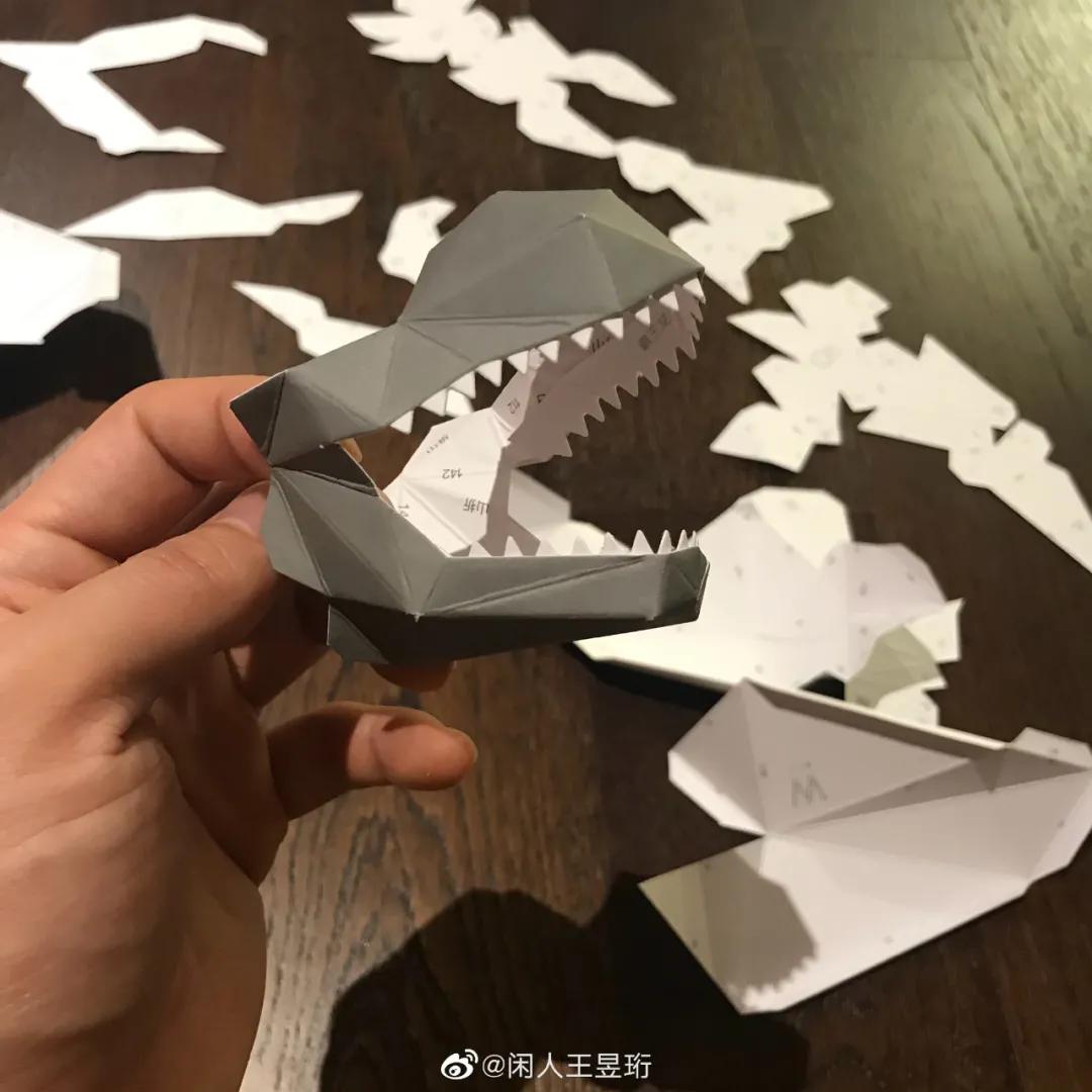 王昱珩上学经历,清华毕业的王昱珩