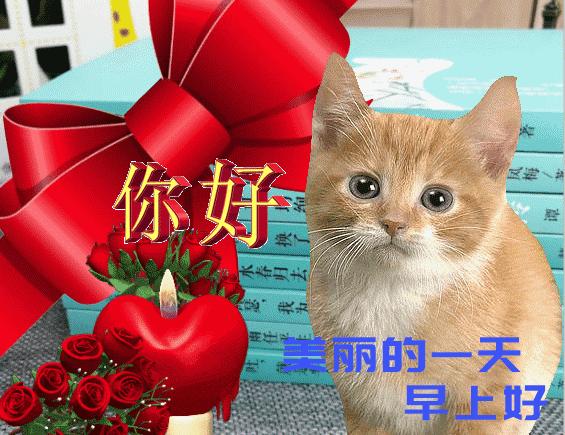 最新的早上好问候祝福语动态图,早上好祝福语会动的早上好图片