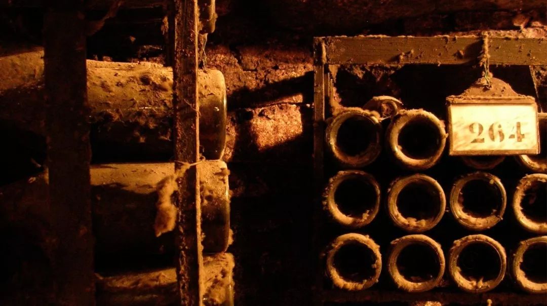 葡萄酒品鉴的注意事项,葡萄酒品鉴三大误区是什么