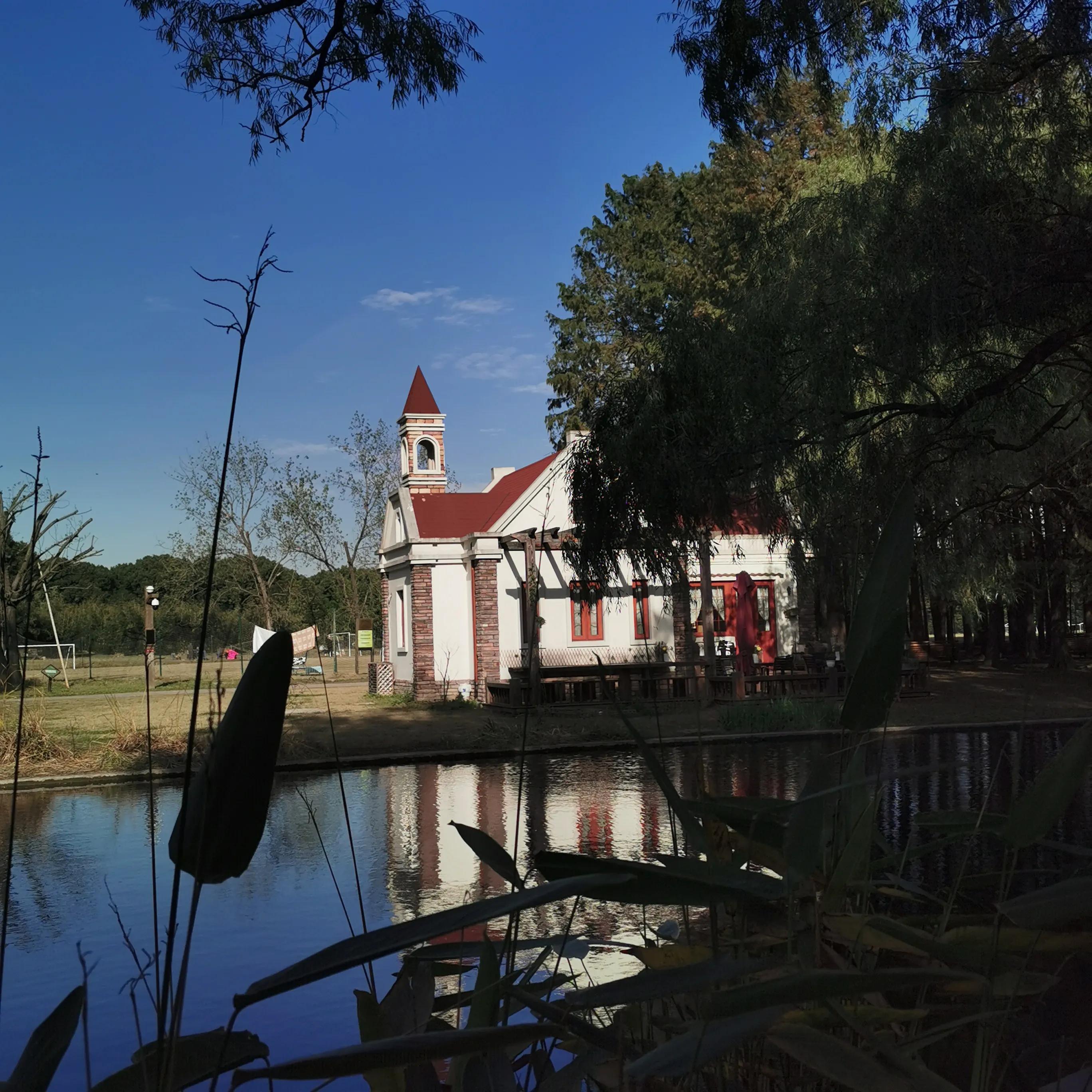 上海共青森林秋景,上海共青森林公园夜景