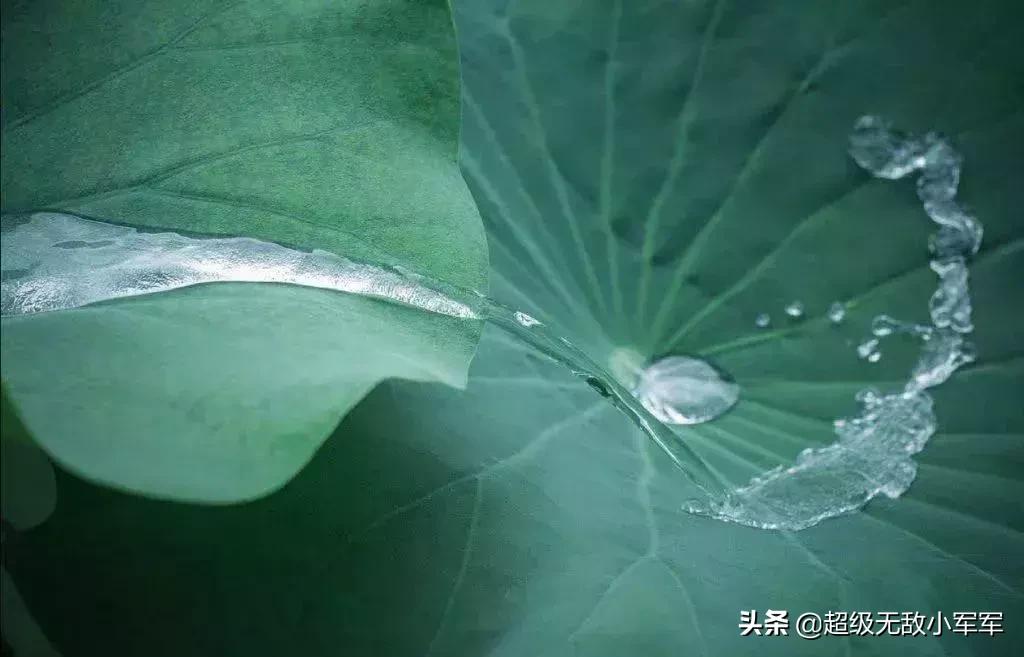 佛说做人请不要炫耀,佛说为什么不能炫耀