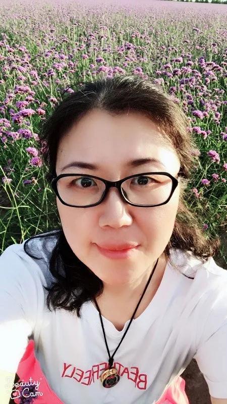 美丽迎春花开了,迎春花盛开的绝美春日盛景