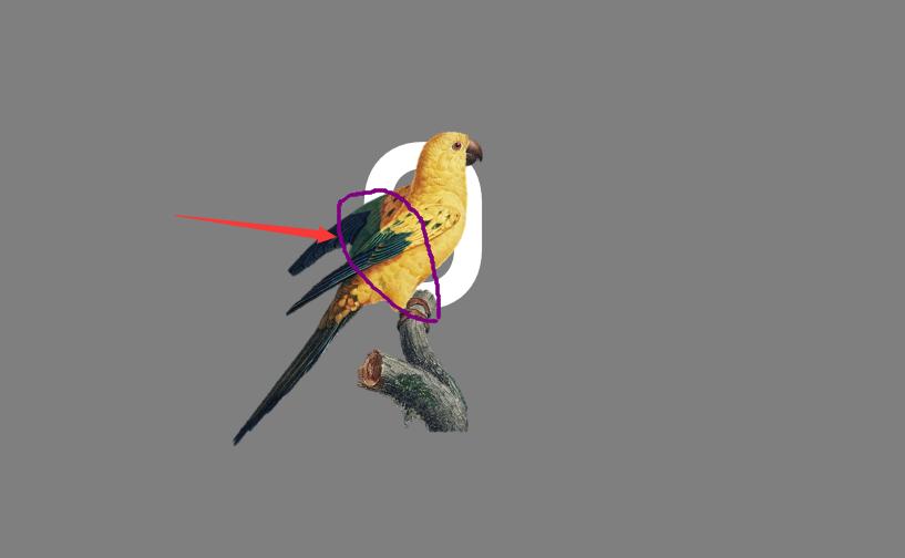 ppt的制作与排版技巧,软装ppt的制作方法与技巧