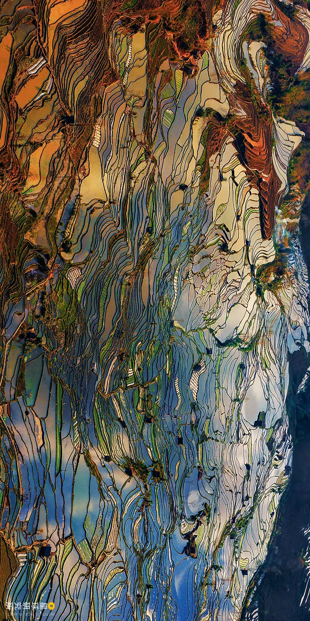 云南红河有什么特色,云南红河乡的风景