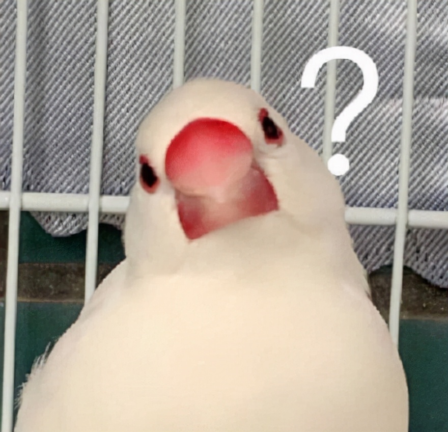 iPhone烧屏如何避免,iphone12promax烧屏