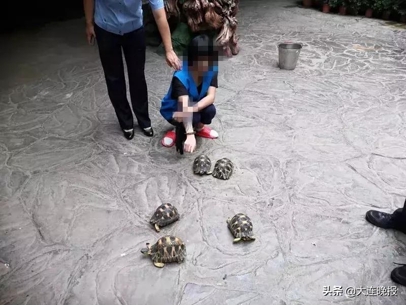 大连破获一起重大案件！涉及大半个中国